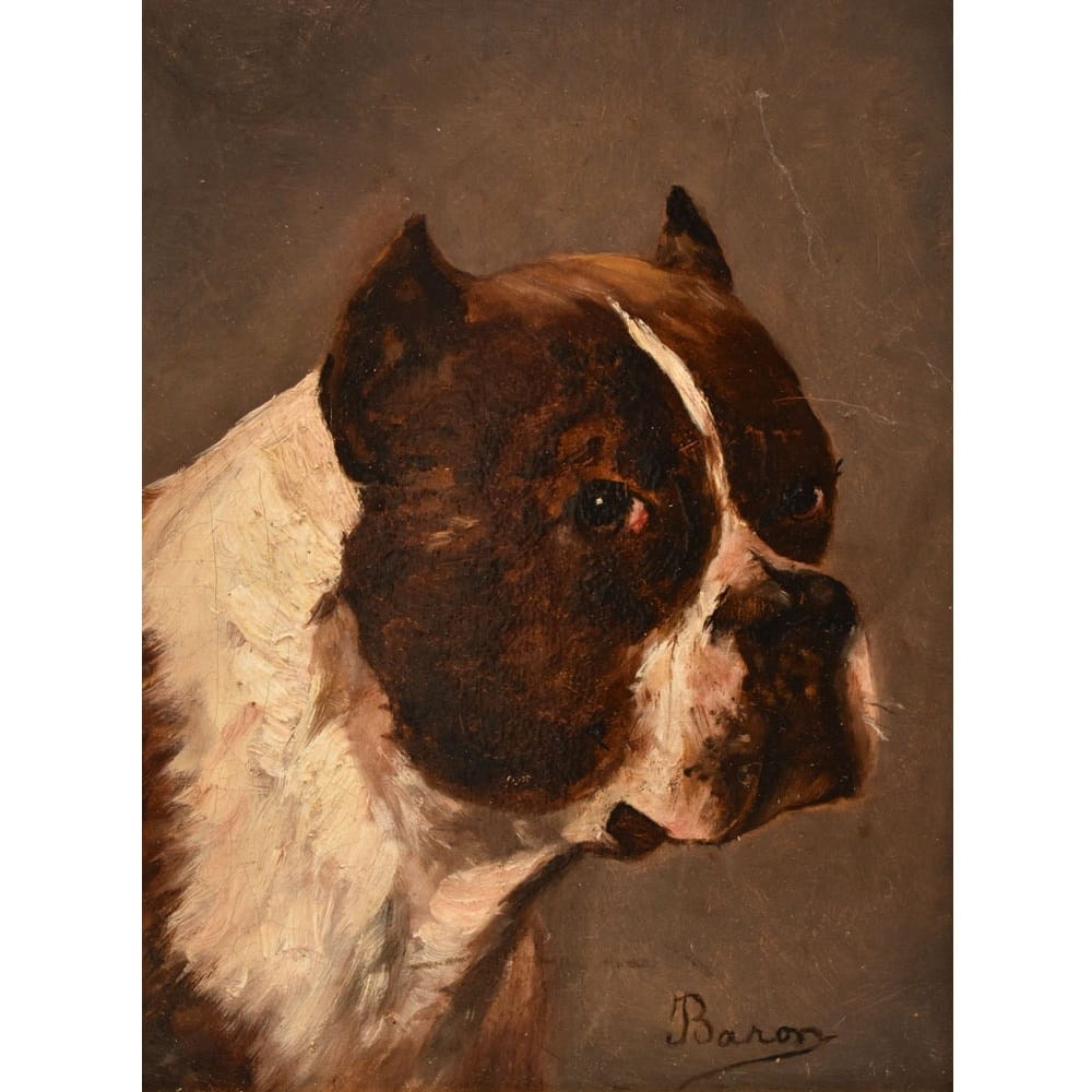 QA795 3a antique oil painting dogs portraits painting XIX
